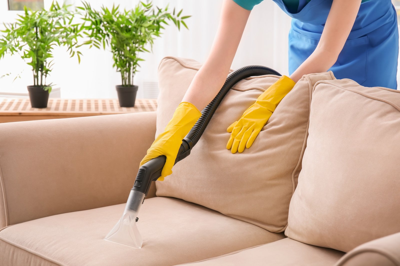 Residential Cleanout